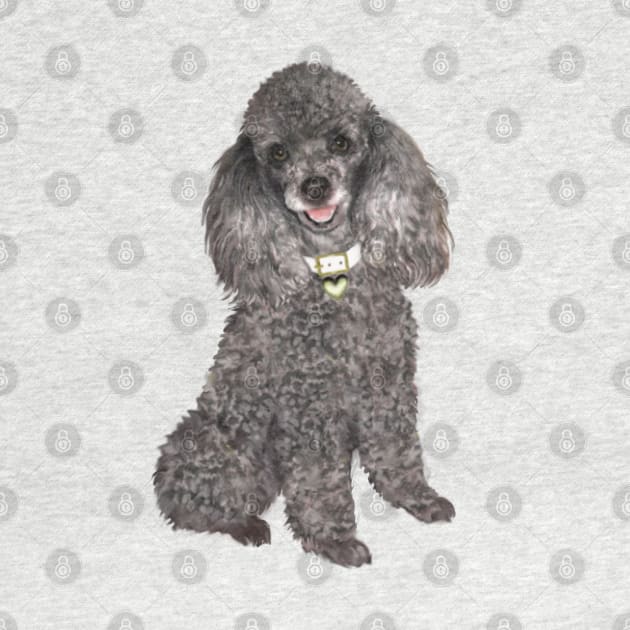 A  Silver Toy or Miniature Poodle - Just the Dog by Dogs Galore and More